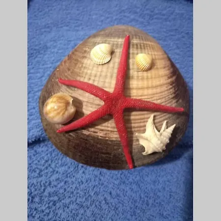 Sea Star - Per Le Tue Vacanze Al Mare * Riposto