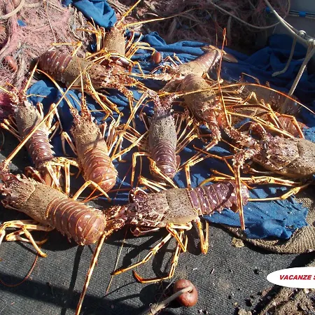 Sea Star - Per Le Tue Vacanze Al Mare * 리포스토