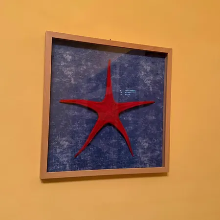Lägenhet Sea Star - Per Le Tue Vacanze Al Mare